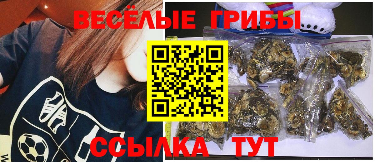 Галлюциногенные грибы Psilocybine cubensis  Галлюциногенные грибы прущие грибы  Вход с VPN  Краснотурьинск 