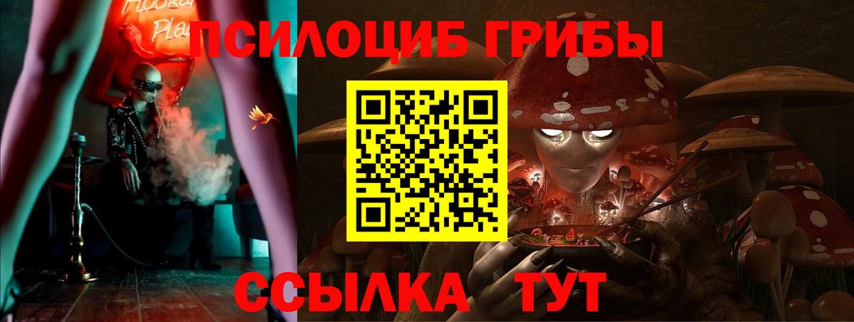 Псилоцибиновые грибы Psilocybine cubensis Краснотурьинск